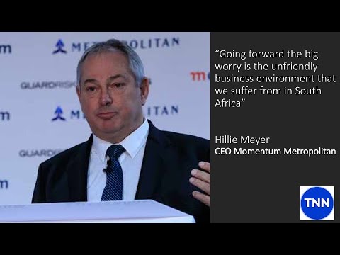 Momentum Metropolitan Strong Dividend | The Nielsen Network